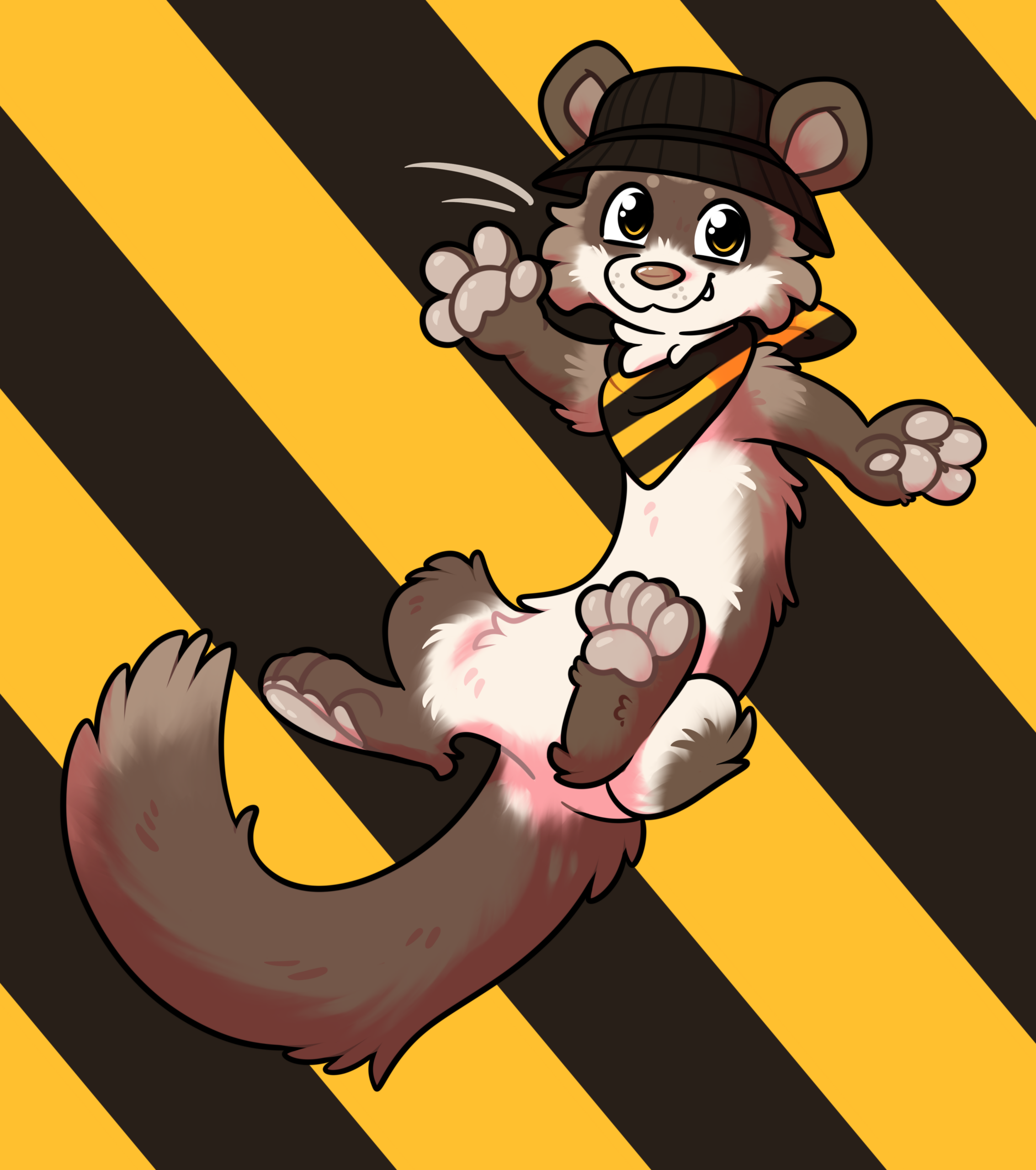 Fez the ferret